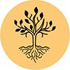 Knowledge development icon