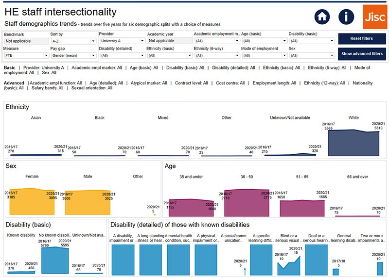 Screenshot of HE staff intersectionality staff demographics