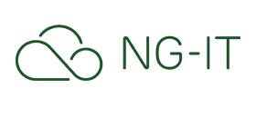 NG IT logo